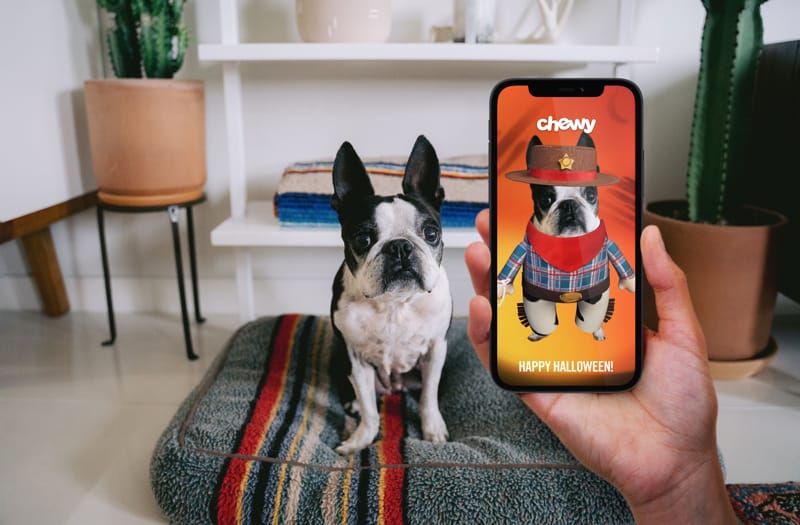 Chewy Dog Photo